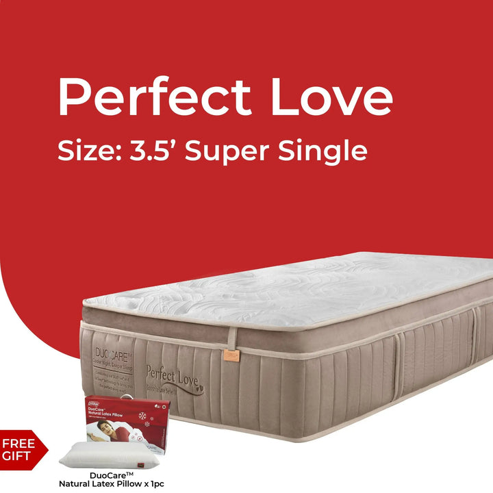 GOODNITE Perfect Love Mattress -13inch - Lian Star