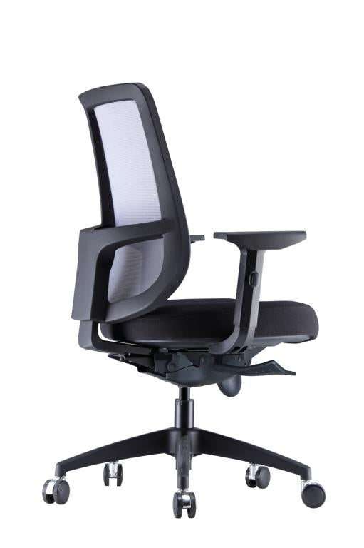 RICO Ergonomic Mesh Chair - Lian Star