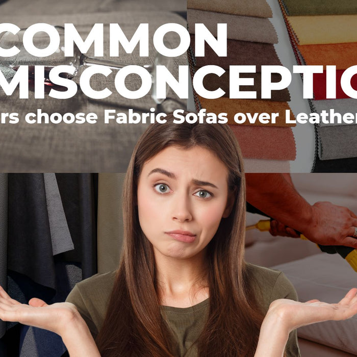 5 Misconceptions Customer choose Fabric Sofas over Leather Sofa