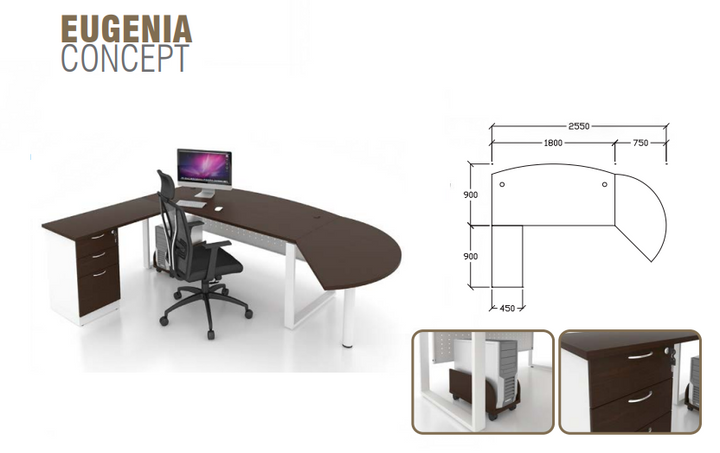 EUGENIA 8.5' Modern Executive Desk - Lian Star