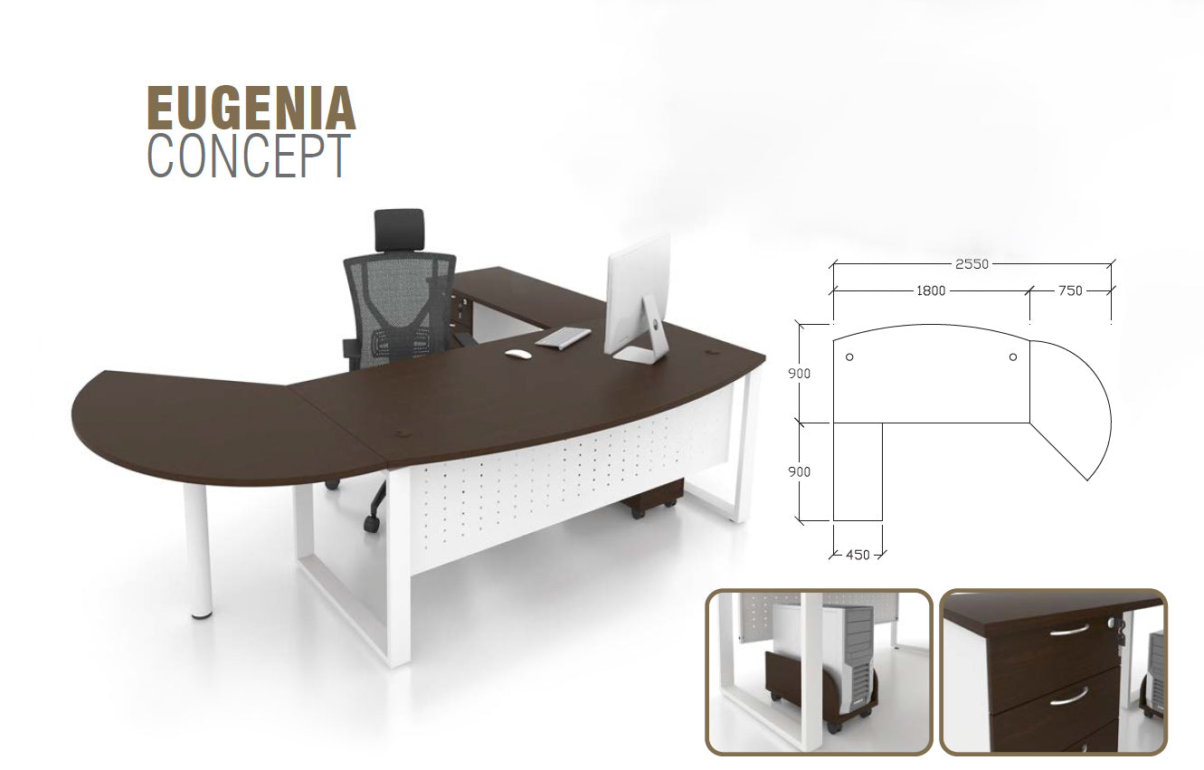 EUGENIA 8.5' Modern Executive Desk - Lian Star