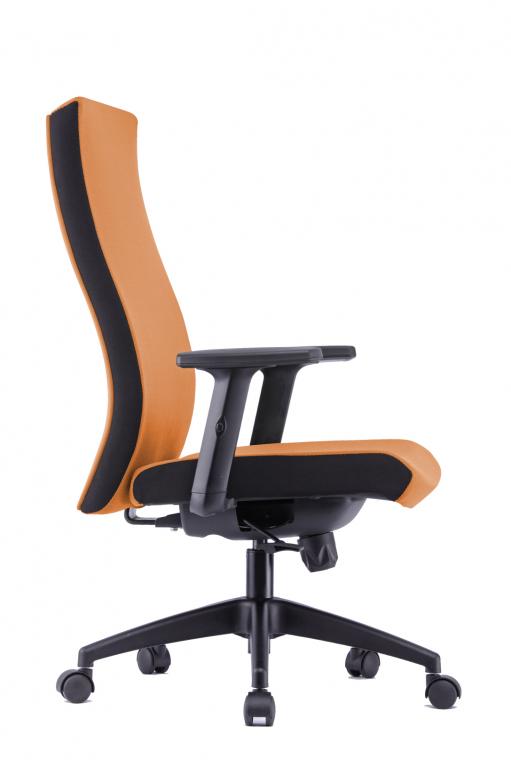 FILA Ergonomic Swiveling Chair - Lian Star