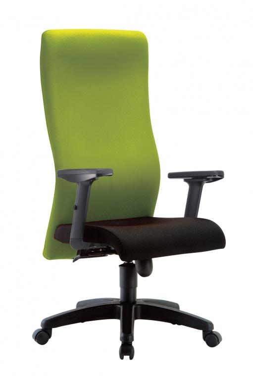 IMAGE II Ergonomic Swiveling Chair - Lian Star