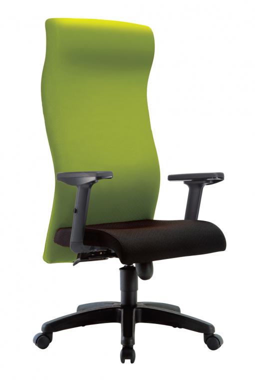 IMAGE II Ergonomic Swiveling Chair - Lian Star