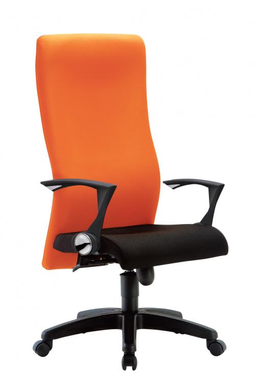IMAGE I Ergonomic Swiveling Chair - Lian Star