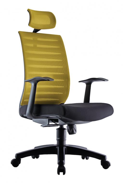 PRO Ergonomic Mesh Chair - Lian Star