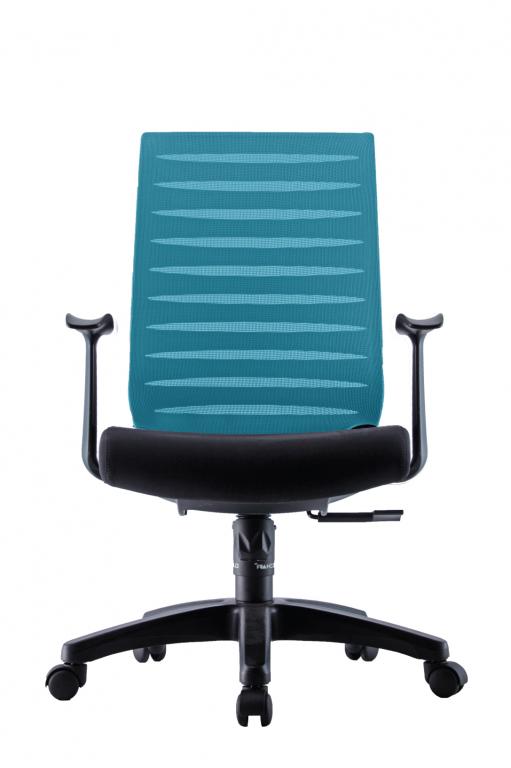 PRO Ergonomic Mesh Chair - Lian Star