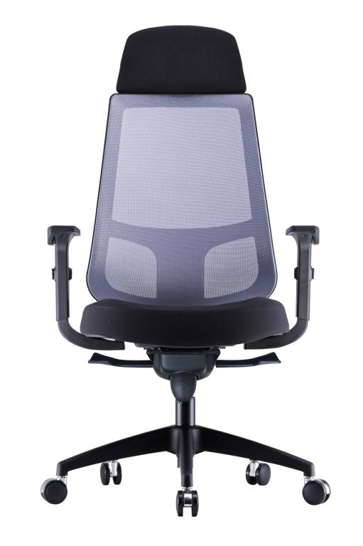 RICO Ergonomic Mesh Chair - Lian Star