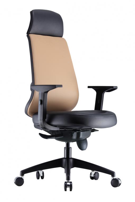 RICO Ergonomic Mesh Chair - Lian Star