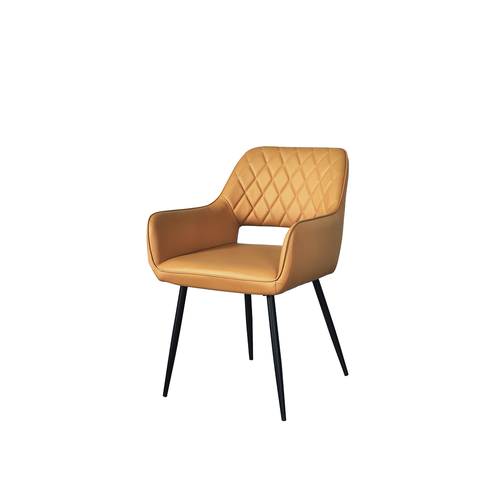 Amber Elegant Low Back Dining Chair with Armrest - main view