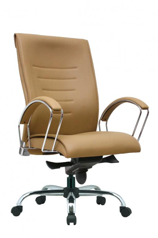 ZONE Ergonomic Director Chair - Lian Star