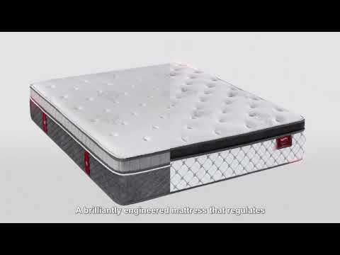 Slumberland | TempSmart™ 5.0 Regina I 