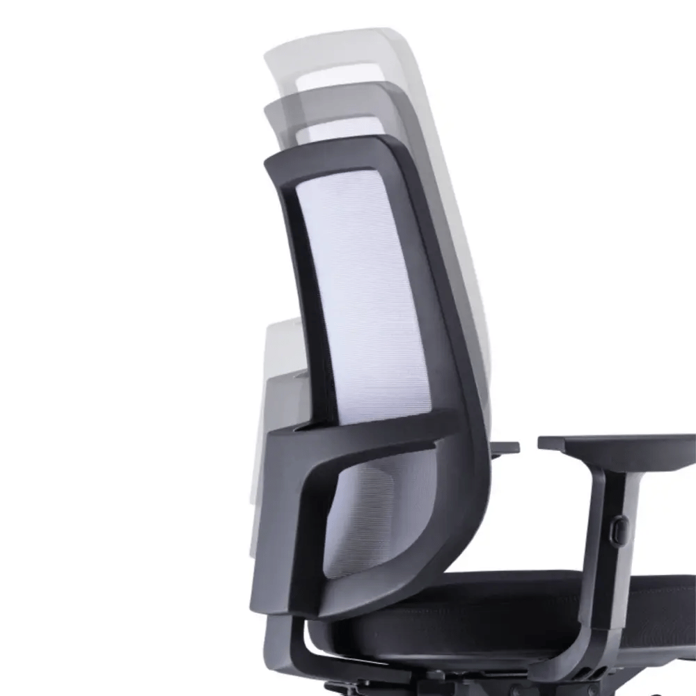 Adjustable Height of Cushioned Backrest Support
